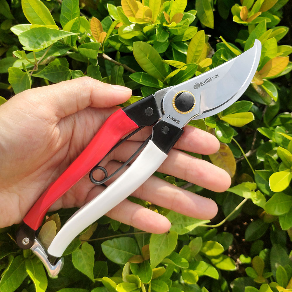 กรรไกรตัดแต่งกิ่งไม้ญี่ปุ่นเคร - Gardening Tools Japan บทวิจารณ์และราคา