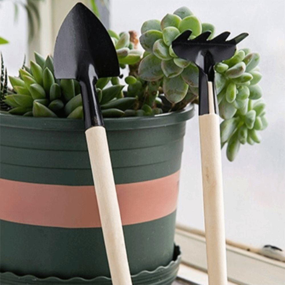 ชุดเครื่องมือปลูกต้นไม้ขนาดเล็ - Spade Digging Fork บทวิจารณ์และราคา