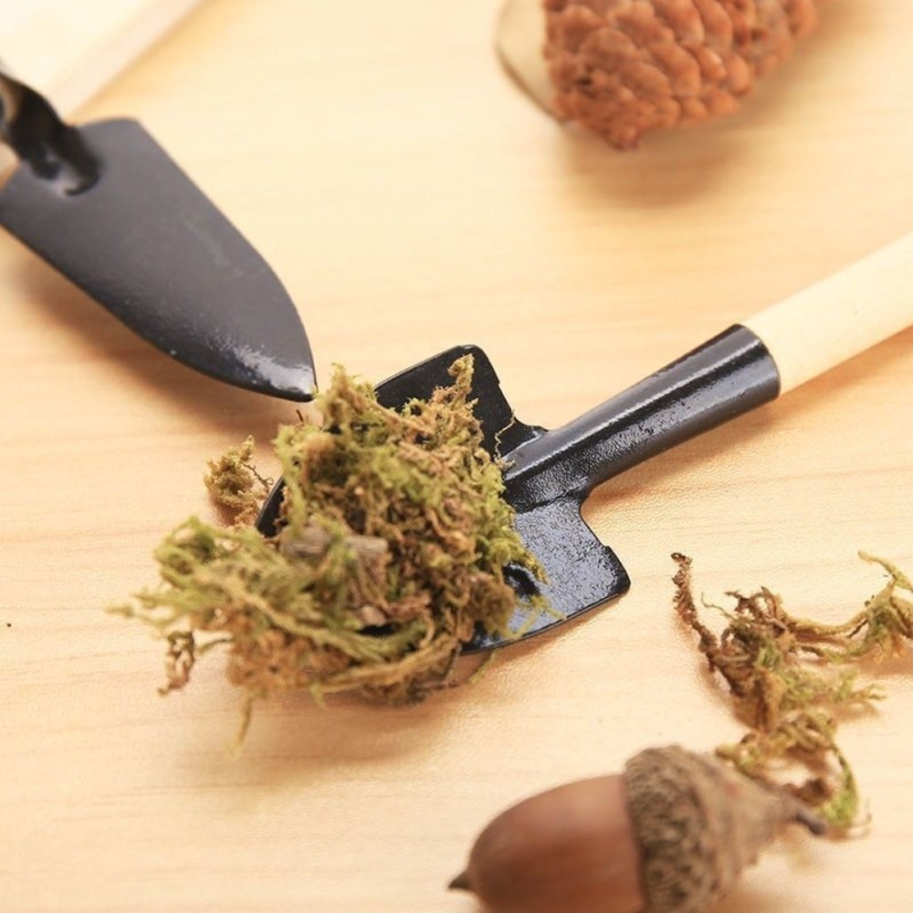 ชุดเครื่องมือปลูกต้นไม้ขนาดเล็ - Spade Digging Fork บทวิจารณ์และราคา