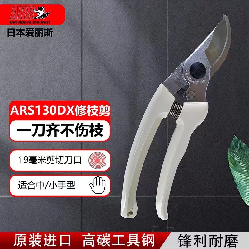 กรรไกรตัดแต่งกิ่ง เครื่องมือทํ - Gardening Tools Japan บทวิจารณ์และราคา