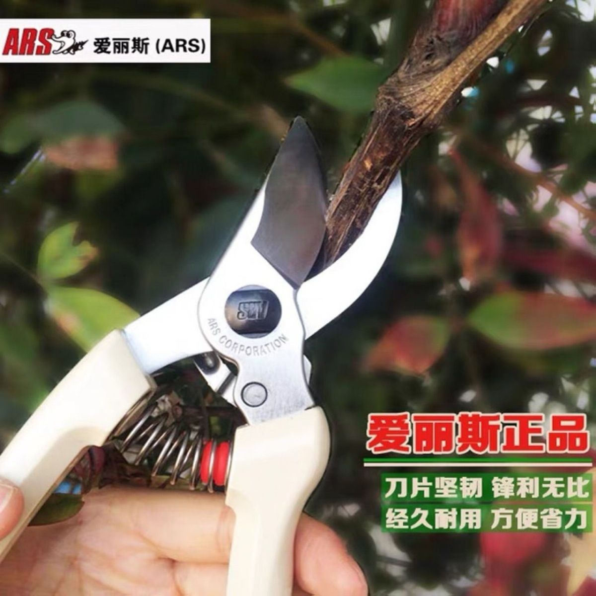 กรรไกรตัดแต่งกิ่ง เครื่องมือทํ - Gardening Tools Japan บทวิจารณ์และราคา