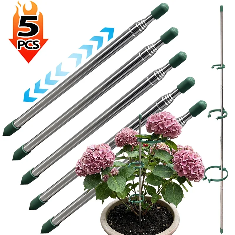 วงแหวนรองรับต้นไม้แบบยืดหดได้  - Gardening Tools Green บทวิจารณ์และราคา