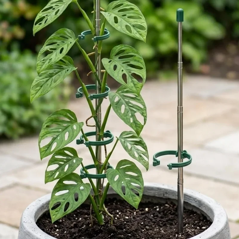 วงแหวนรองรับต้นไม้แบบยืดหดได้  - Gardening Tools Green บทวิจารณ์และราคา