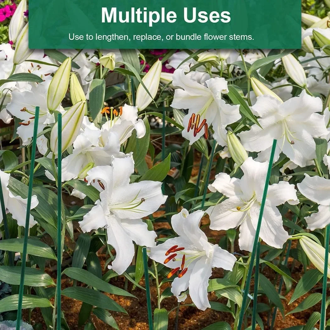 10Pcs 40ซม.ไม้ไผ่สีเขียวพืช St - Gardening Tools Green บทวิจารณ์และราคา
