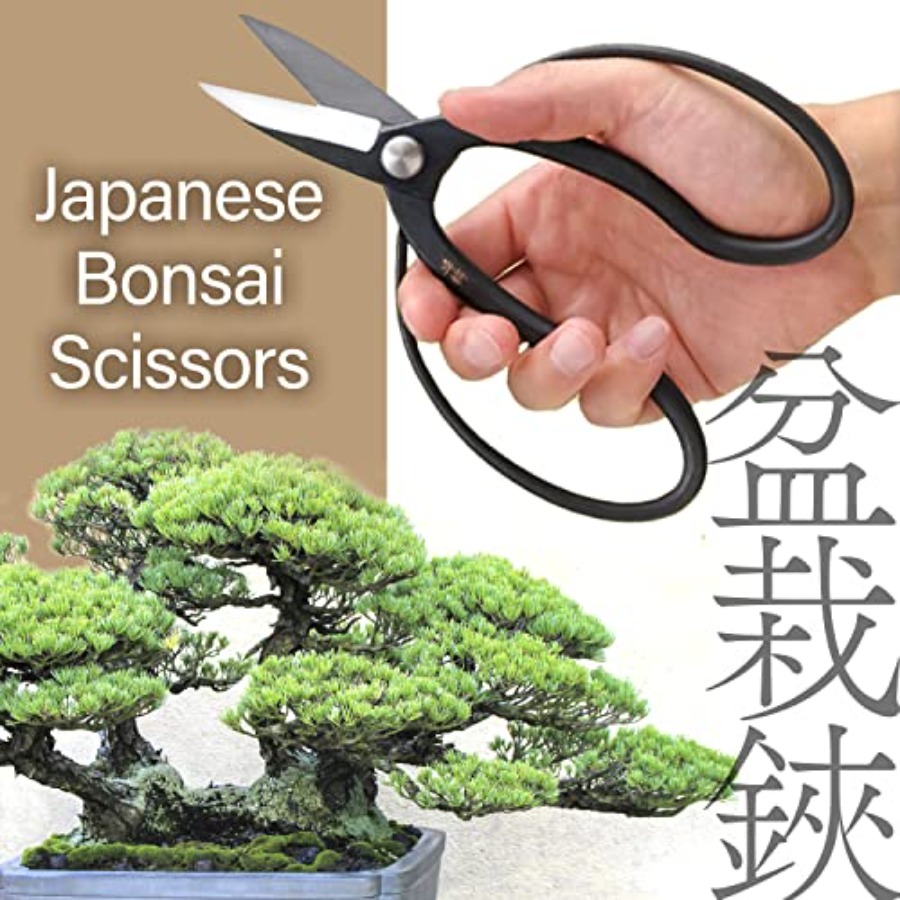 กรรไกรตัดกิ่งบอนไซญี่ปุ่น Suir - Gardening Tools Japan บทวิจารณ์และราคา