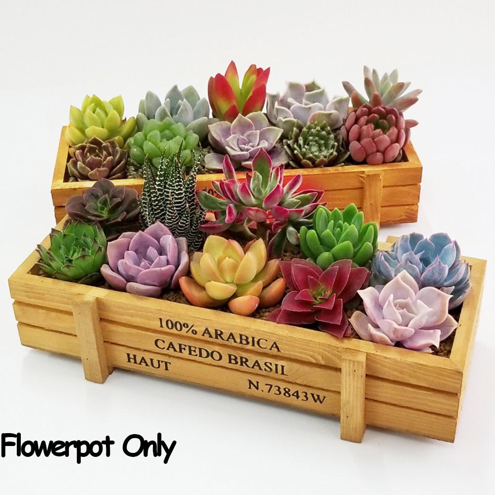 กระถางตกแต่งสวน1อุปกรณ์ลอกฟิล์ - Gardening Tools Green บทวิจารณ์และราคา