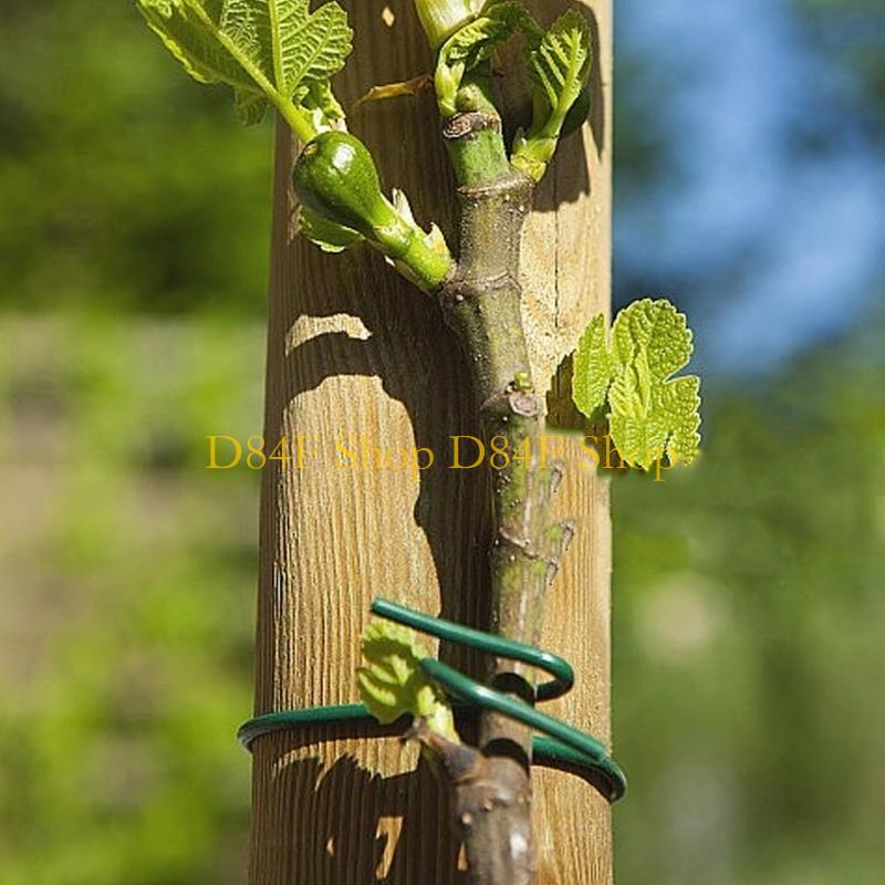 D84F 2.5mmx10m สีเขียว Soft Tw - Garden Wire Twist Tie บทวิจารณ์และราคา