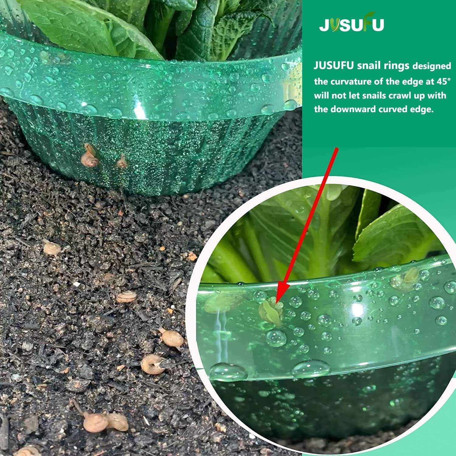 วงแหวนป้องกันหอยทากสำหรับต้นไม - Gardening Tools Green บทวิจารณ์และราคา