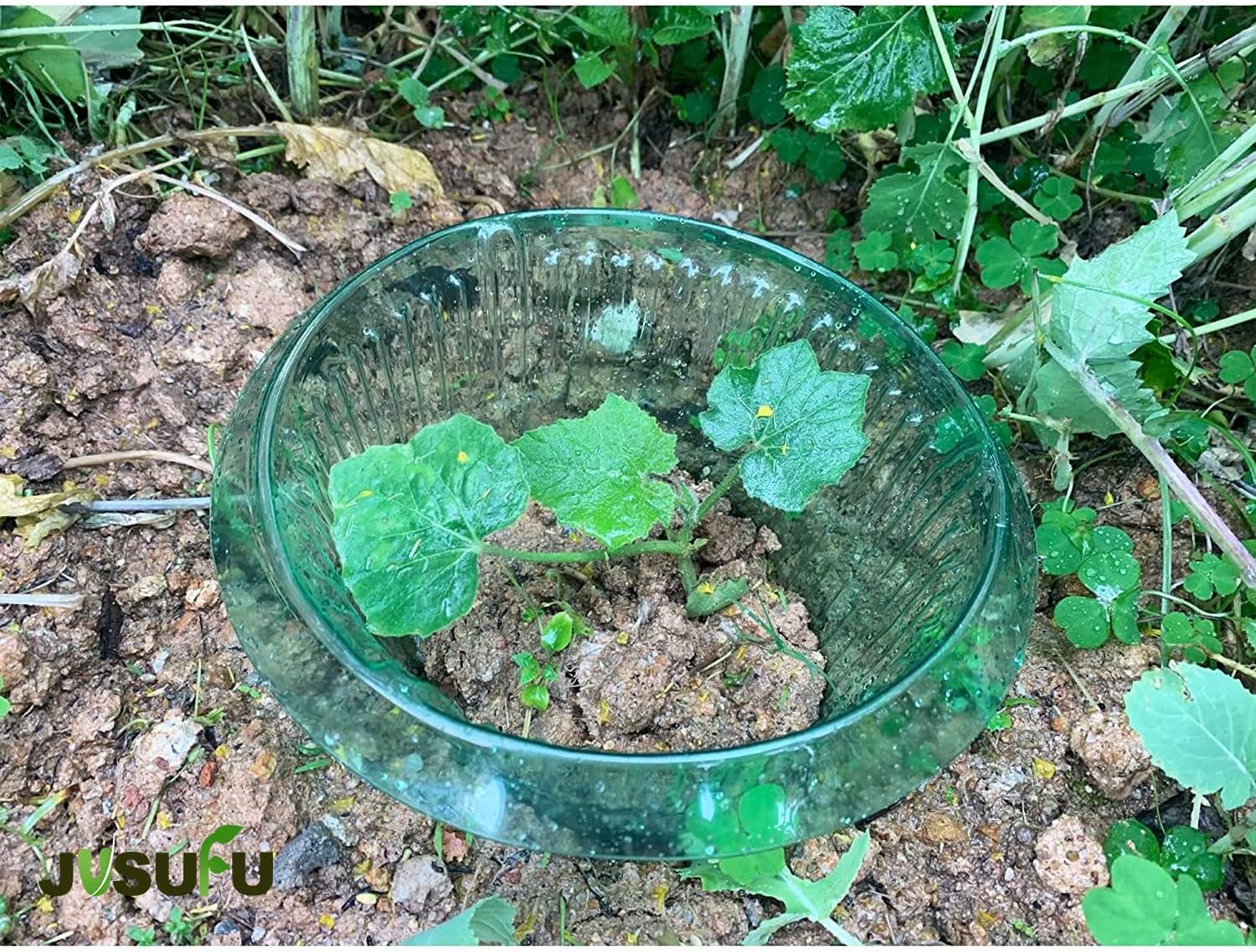 วงแหวนป้องกันหอยทากสำหรับต้นไม - Gardening Tools Green บทวิจารณ์และราคา