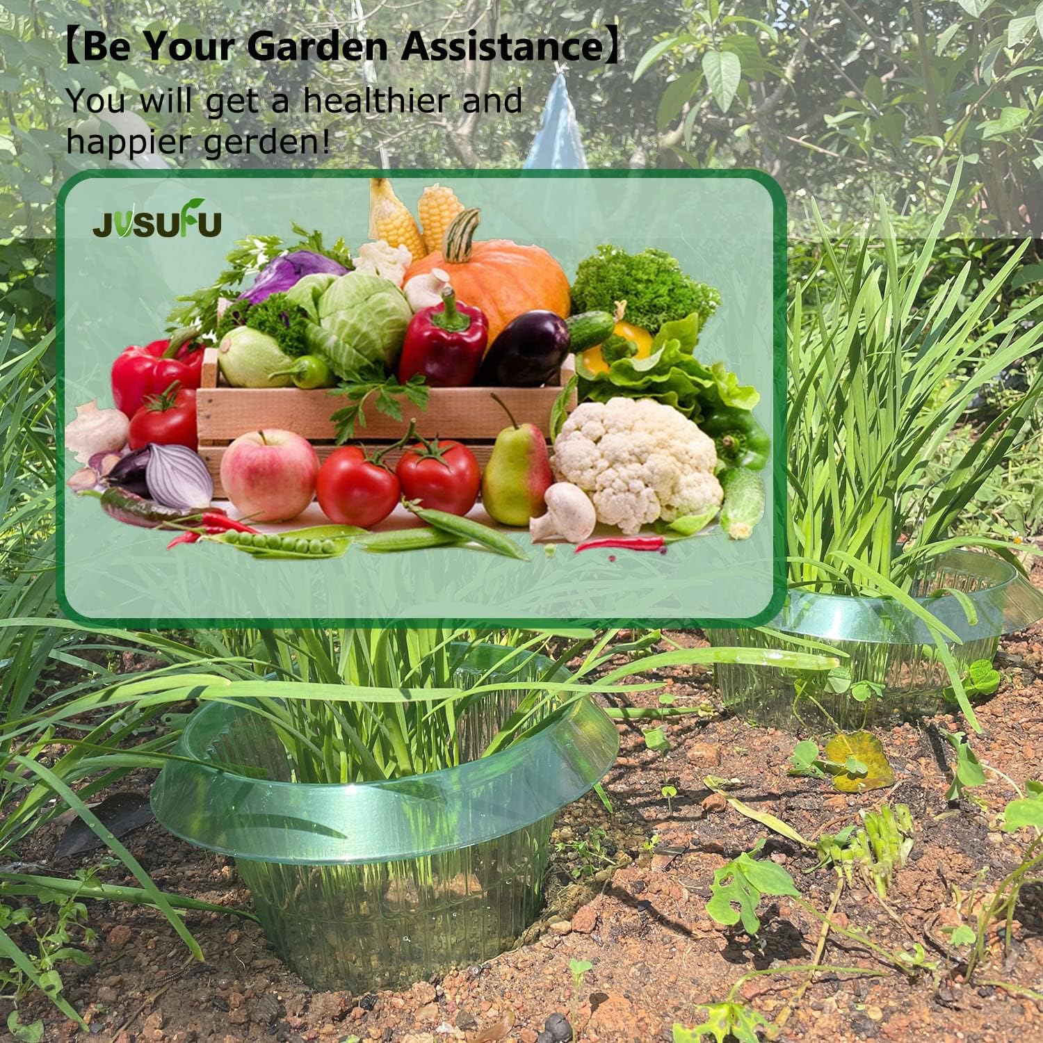 วงแหวนป้องกันหอยทากสำหรับต้นไม - Gardening Tools Green บทวิจารณ์และราคา