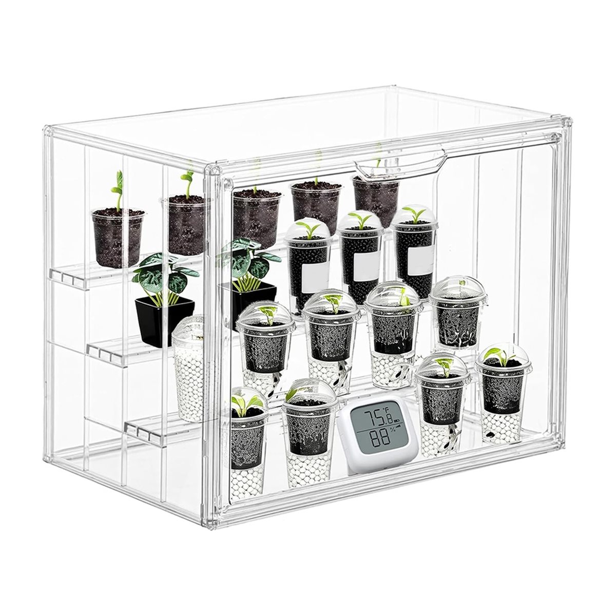 โรงเรือนปลูกต้นไม้ขนาดเล็กแบบพ - Gardening Tools Green บทวิจารณ์และราคา