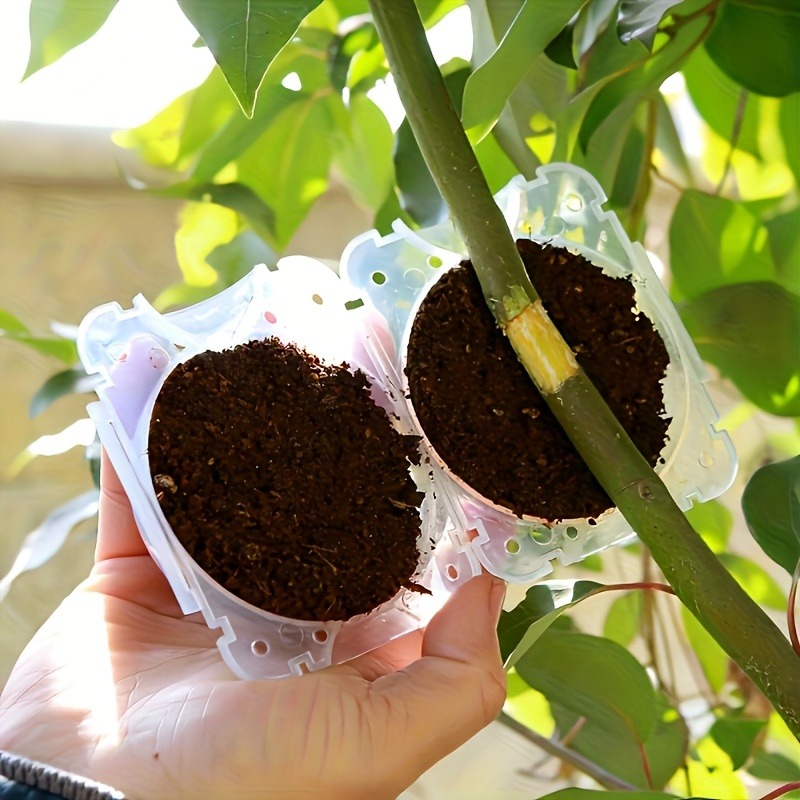 ชุดอุปกรณ์ขยายพันธุ์พืชแบบแรงด - Gardening Tools Uses บทวิจารณ์และราคา