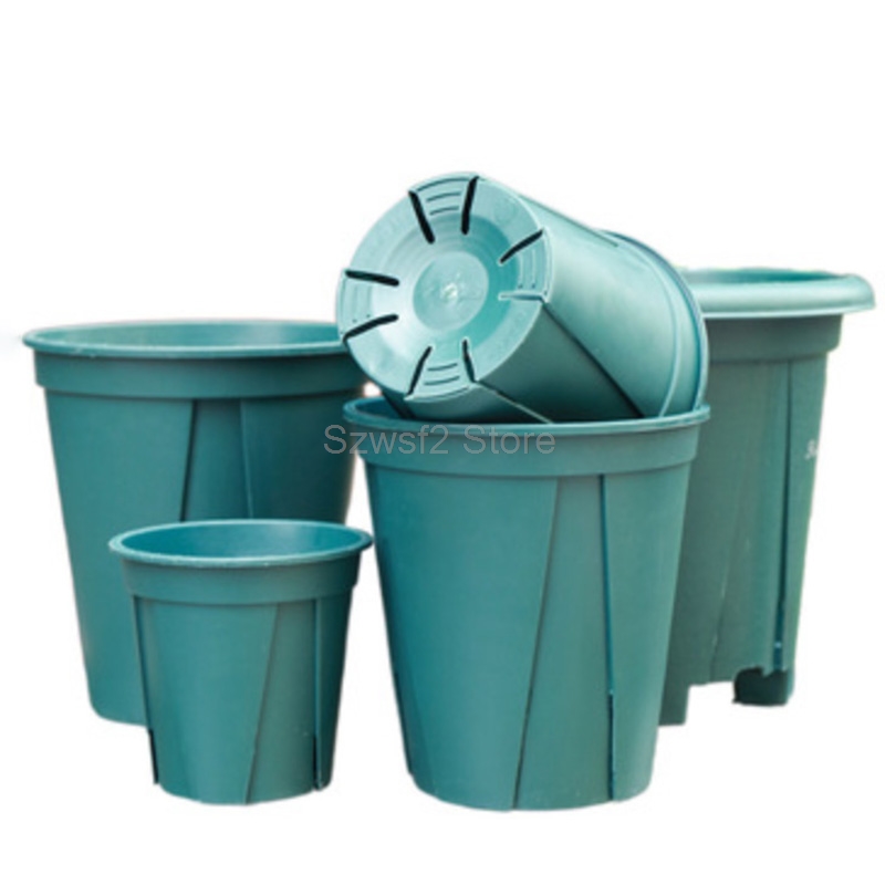 ถาดรองกระถางต้นไม้พลาสติกสีเขี - Gardening Tools Green บทวิจารณ์และราคา